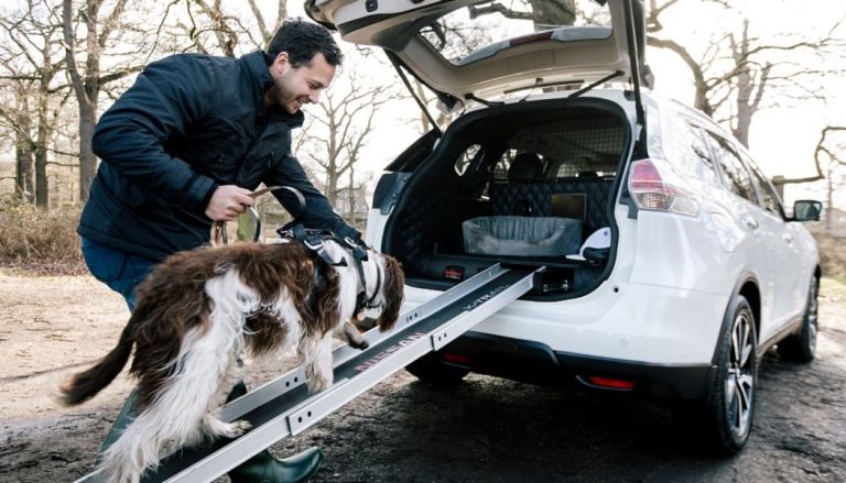 A built-in dog ramp shows how this Nissan X-Trail is the best SUV for dogs