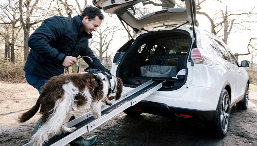 Best SUV for Dogs Nissan XTrail Has Given Us A Treat